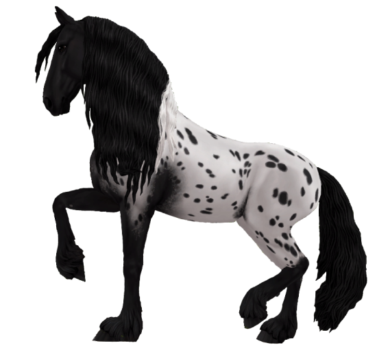 pngclubhorse